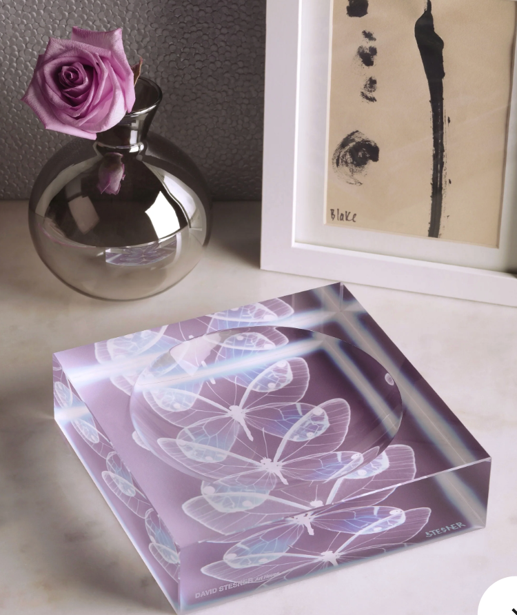 DS Invisible Flight Acrylic Square Dish