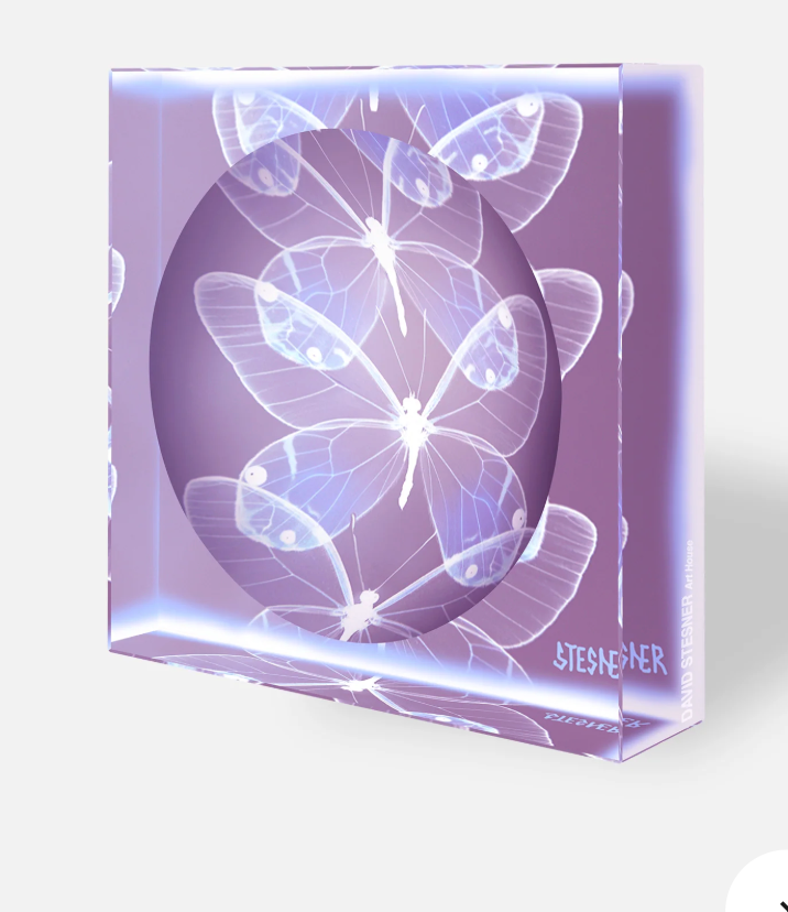 DS Invisible Flight Acrylic Square Dish