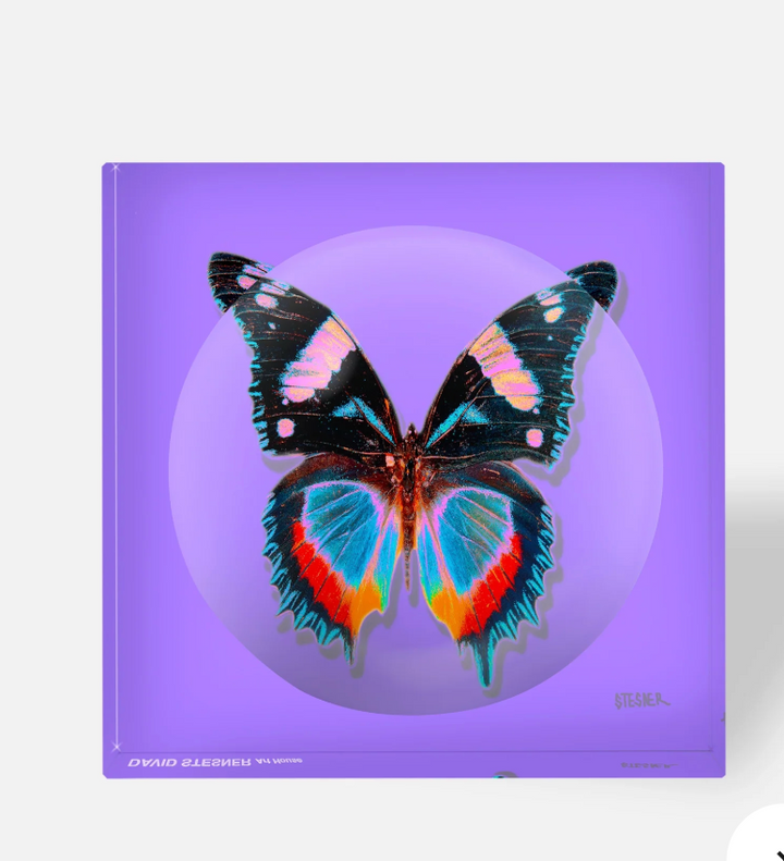 DS Amethyst Flutter Acrylic Square Dish