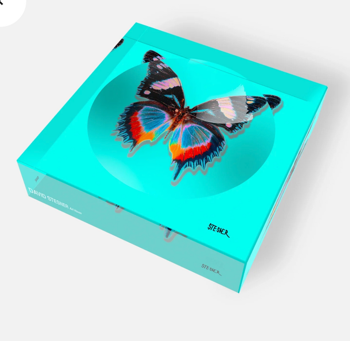 DS Aqua Flight Acrylic Square Dish