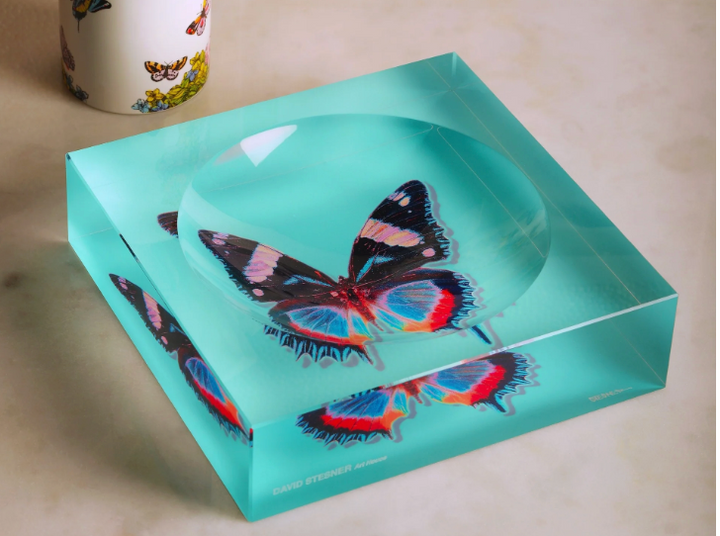 DS Aqua Flight Acrylic Square Dish