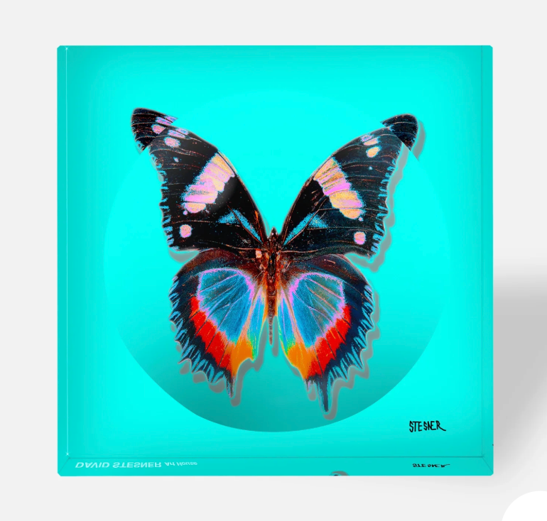 DS Aqua Flight Acrylic Square Dish