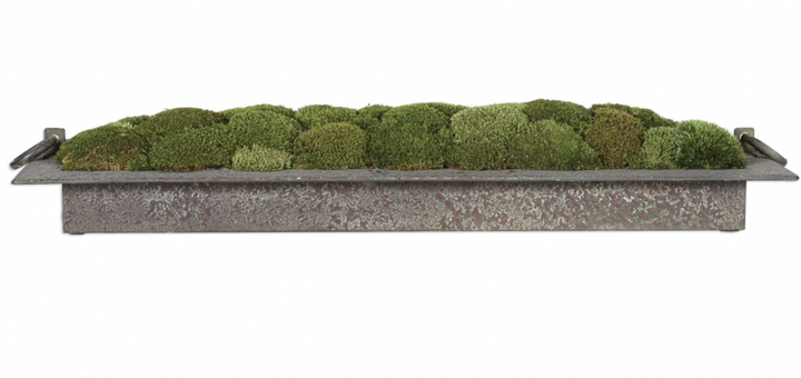 Preserved Moss Tray Accent