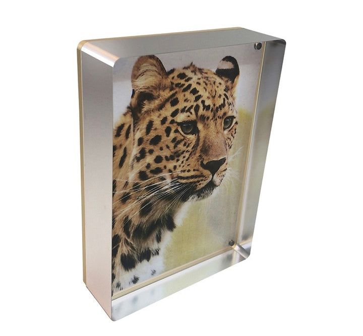 Prestige Magnetic Frame 4 x6- 3 options
